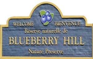 Blueberry Hill Nature Preserve