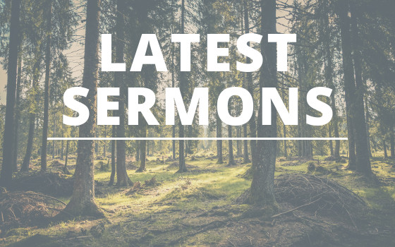 Lastest Sermons from Church of the Rez